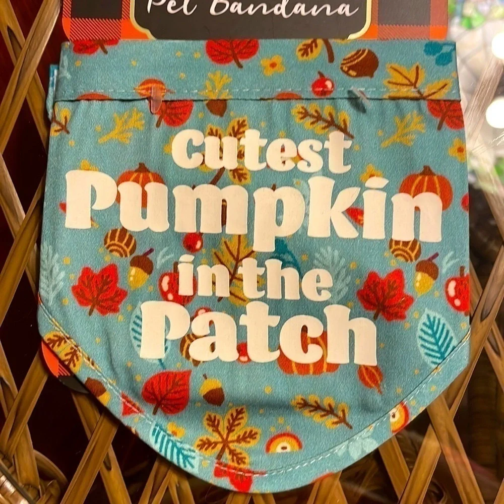 Brand New Cutest Pumpkin in the Patch Small/Medium Pet Dog Bandana 13-15” Neck